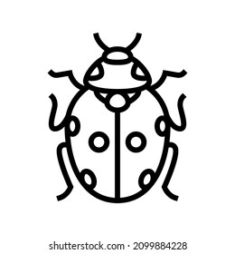 ladybug bug line icon vector. ladybug bug sign. isolated contour symbol black illustration