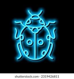 ladybug bug neon light sign vector. ladybug bug illustration