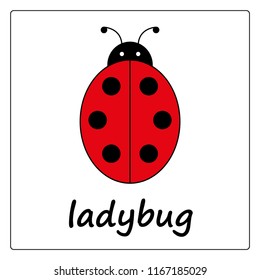  ladybug - сartoon card, worksheet for children. Education game for kids. flashcards for learning English.