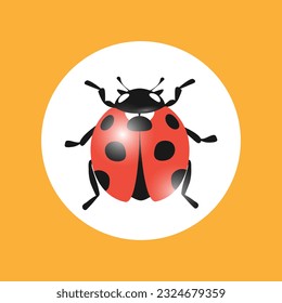 Ladybug cartoon icon. Vector illustration isolated on white background.