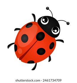 Ladybug cartoon insect vector cute character isolated on white background.