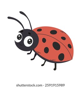 Ladybug cartoon insect vector cute character isolated on white background.
