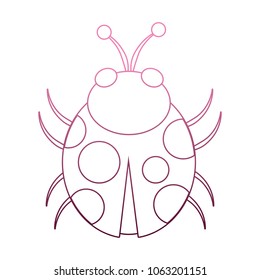 Ladybug cartoon isolated