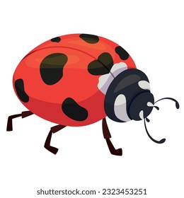 Ladybug cartoon red spotted crawling insect summer bug with paws antennae vector flat illustration. Cute ladybird biology wildlife beetle little bright character nature fauna flying wild animal