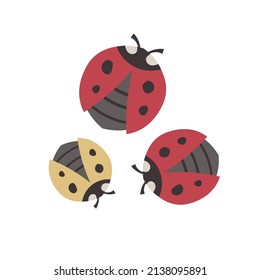 ladybug in cartoon style on white background vector format