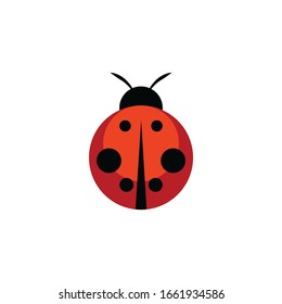 Ladybug cartoon vector, icon on a white background