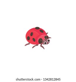 ladybug cartoon vector on a white background