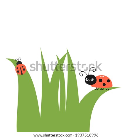 Ladybug cartoons and green leaves on white background vector illustration. Flat design.