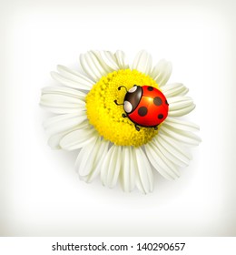 Ladybug and chamomile, vector