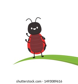 Ladybug character vector. Ladybug on white background. Ladybug on leaf.