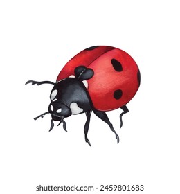 Ladybug clipart, isolated illustration. Beautiful insect on a white background, watercolor painted by hand art for wallpaper. Cartoon cute animal. Watercolour print, hand drawn,red lady bug black dots