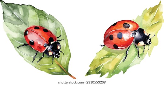 Ladybug clipart, isolated vector illustration.