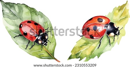 Ladybug clipart, isolated vector illustration.