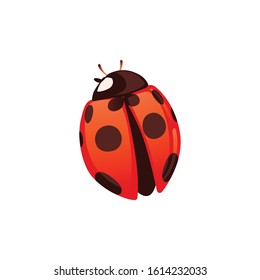 Ladybug with closed shell beetle cartoon bug design flat vector illustration isolated on white background