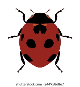 ladybug. Coccinellidae is a family of beetles. A predatory beetle with red elytra and black spots. Vector illustration.