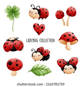 ladybug collection, insect watercolor. Vector illustration