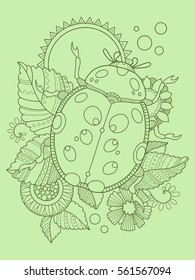 Ladybug color hand drawn vector illustration. Lace pattern