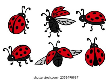 Ladybug color sketch. Hand drawn vector illustration isolated on white. Bright insect set for kids book, poster design. Dotted Lady Birds