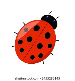 Ladybug, color vector image isolated on a white background, icon, cute insect, EPS10, design element.