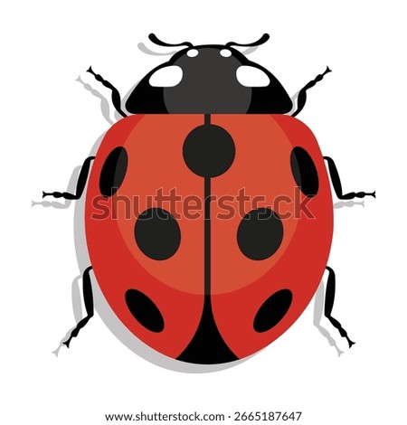 Ladybug, color vector image isolated on a white background, icon, cute insect, EPS10, design element.