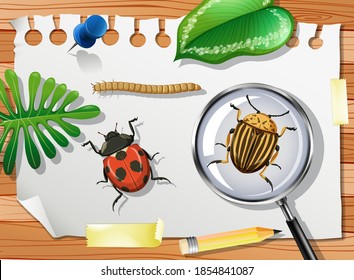 Ladybug with Colorado potato beetle and magnifying glass on table close up illustration