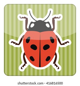 Ladybug colorful icon