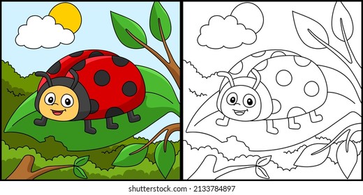 Ladybug Coloring Page Colored Illustration