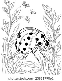 páginas de color de ladybug para adultos