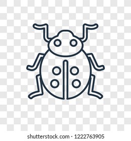 Ladybug concept vector linear icon isolated on transparent background, Ladybug concept transparency concept in outline style