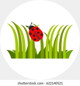 Ladybug crawling on grass icon