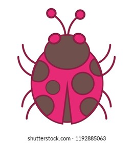 ladybug cute cartoon