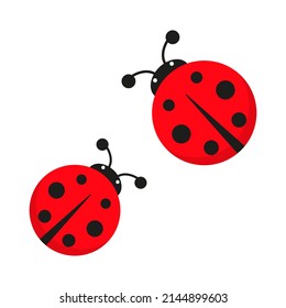 Ladybug cute character set. Red tiny ladybirds group. Vector isolated on white.