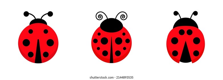 Ladybug cute character set. Three little red ladybird. Vector isolated on white.