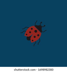 Ladybug design illustration vector, suitable for your design need, logo, illustration, animation, etc.