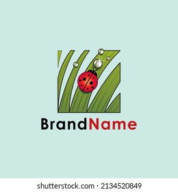 Ladybug and dew on the leaves Logo. Symbols, Icons Vector.