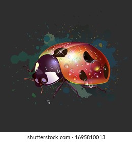 
ladybug with dew. Vector and illustration.