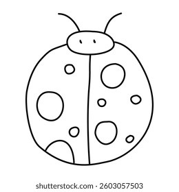 Ladybug in doodle style, linear, isolated on white background