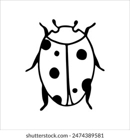 Ladybug in doodle style.Insect on isolated background.Vector illustration.