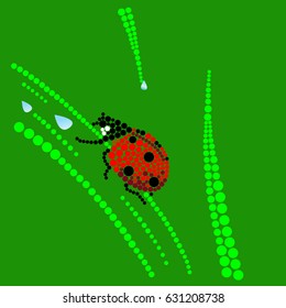 ladybug dot illustration