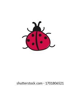 
ladybug drawing on a white background