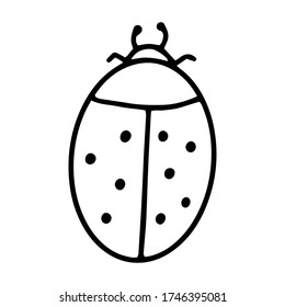 Ladybug drawn in the Doodle style.Summer insects.Outline drawing by hand.Black and white image.Monochrome design.Nice drawing.Simple image.Vector