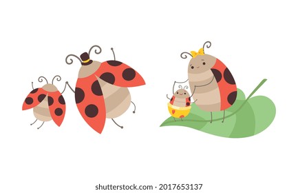 Ladybug Families Set, Insect Parents and their Kids Cartoon Vector Illustration