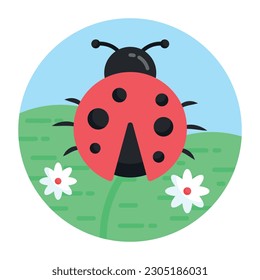 Ladybug, flat rounded icons in editable style 