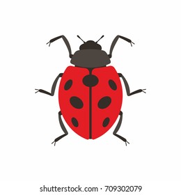 Ladybug in flat style on white background