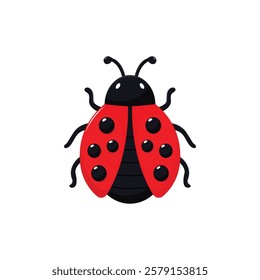 Ladybug flat vector illustration isolated on white background