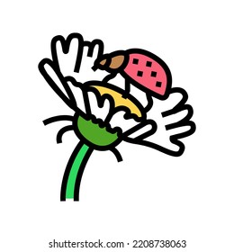 ladybug flower spring color icon vector. ladybug flower spring sign. isolated symbol illustration