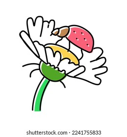 ladybug flower spring color icon vector. ladybug flower spring sign. isolated symbol illustration