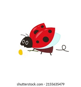 Ladybug and Flower vector. ladybug on white background. wallpaper. symbol.