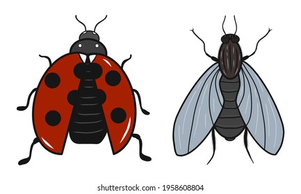 Ladybug and fly icons. Creative illustrations. Colorful sketch. Idea for decors, logo, patterns, papers, covers, gifts, summer and autumn garden, insect natural themes. Isolated vector art.