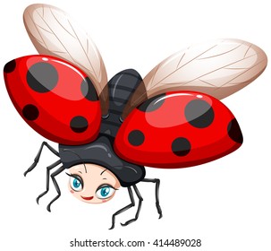 Ladybug flying on white background illustration
